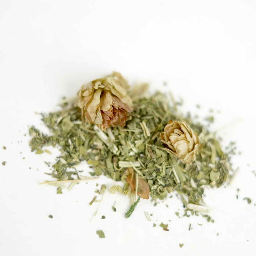 DREAM PLANTS OF KING SOLOMON // sleep tonic
