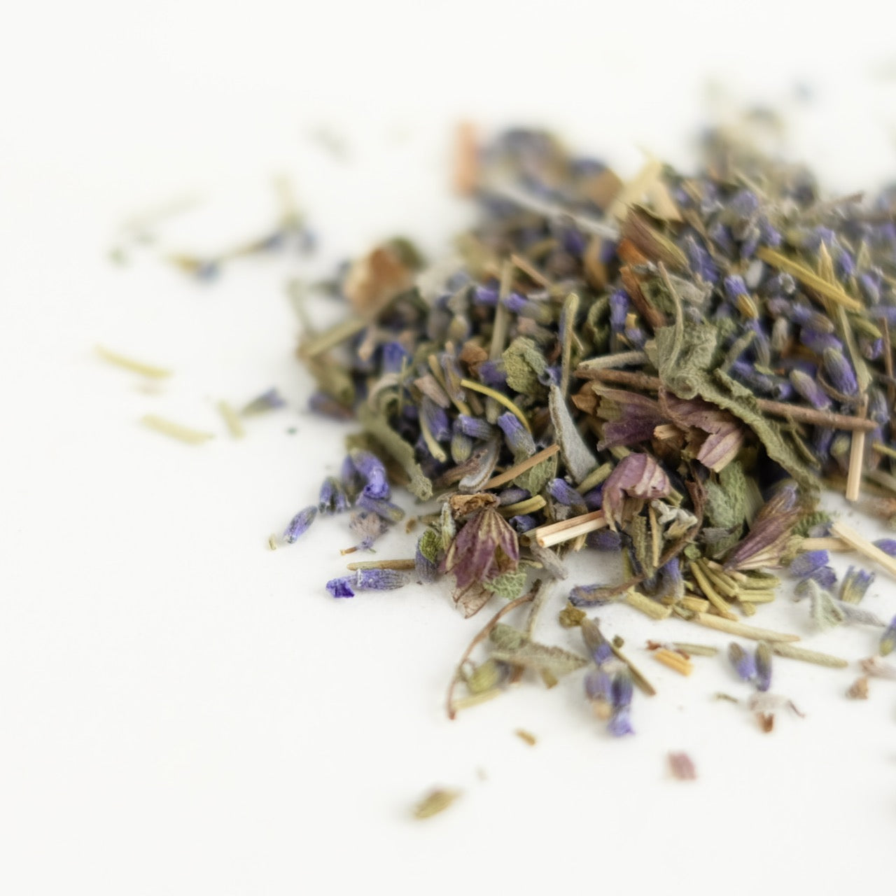SPIRIT OF WISDOM // nootropic tonic