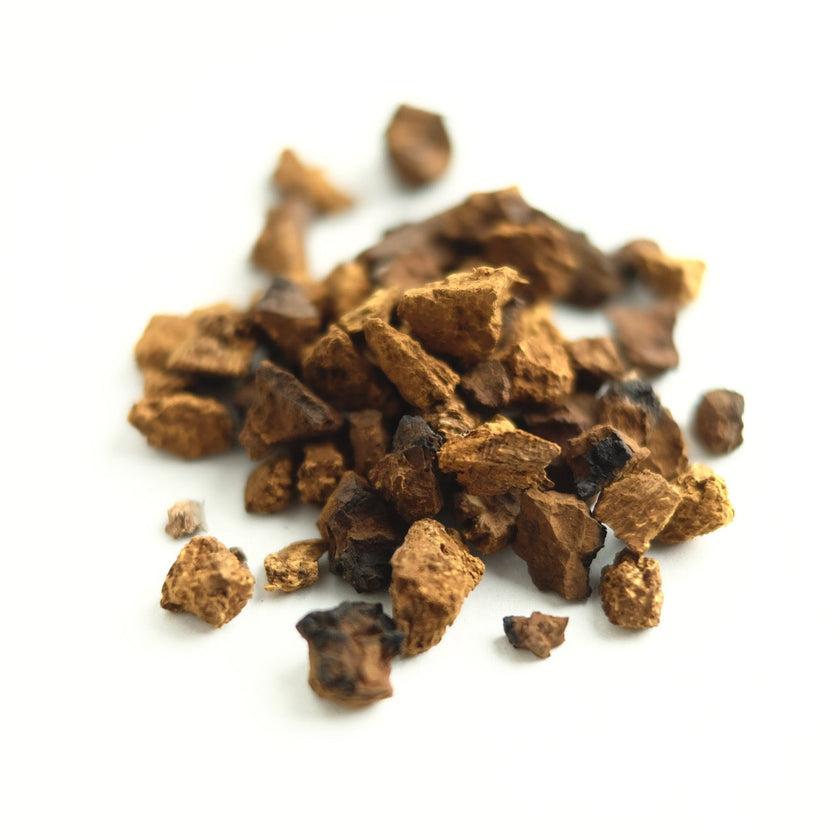 CHAGA MUSHROOM CHUNKS