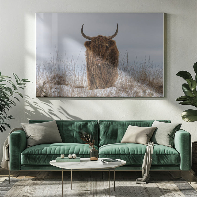 Wall Art Highlander in Snow