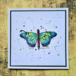 AALL and Create Stamp Set - 918 - Morphed Palette