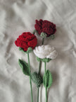 Rose (solid-color)