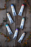 The Eco-Artist's Acrylic Gift Set - Earth Colour