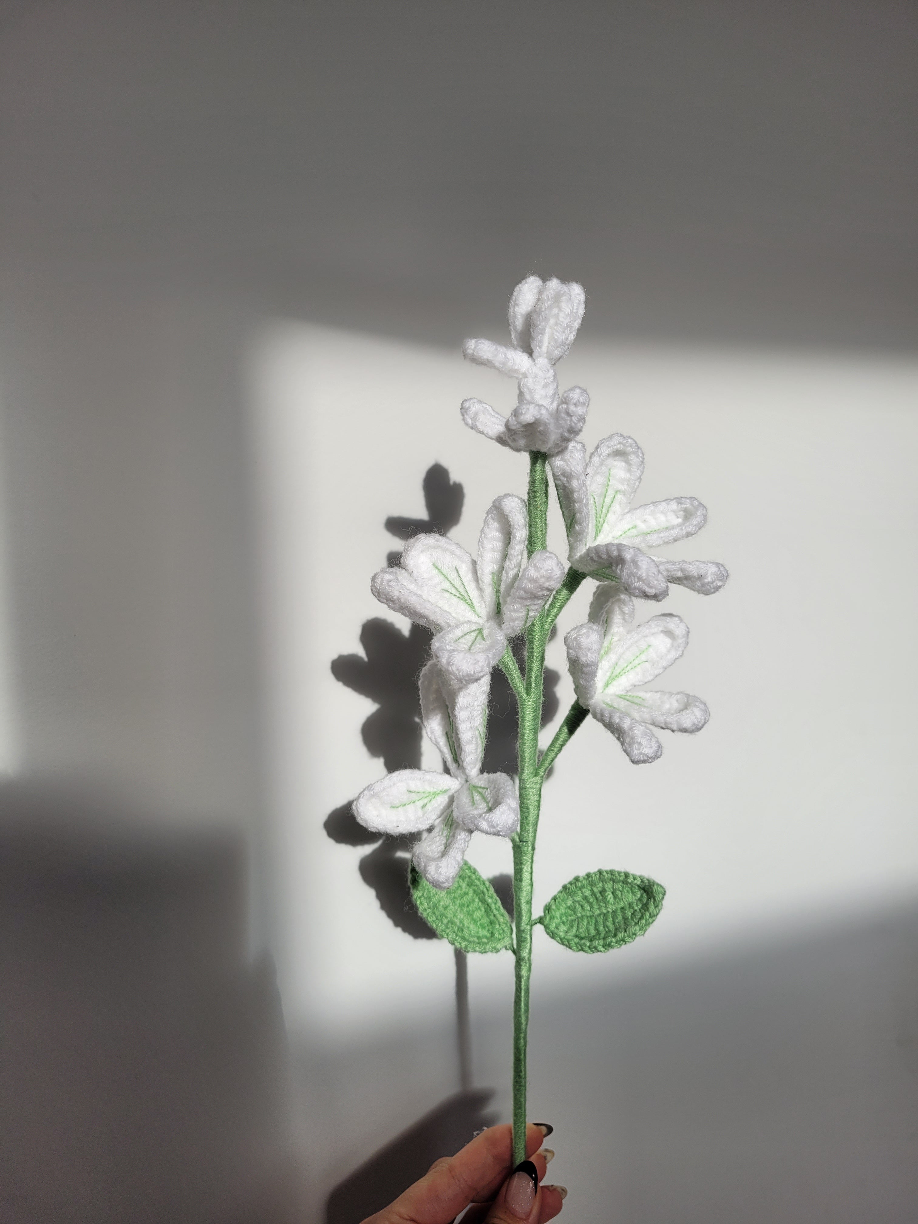 A Branch of Jasmine