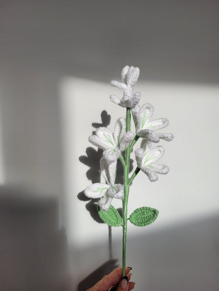 A Branch of Jasmine