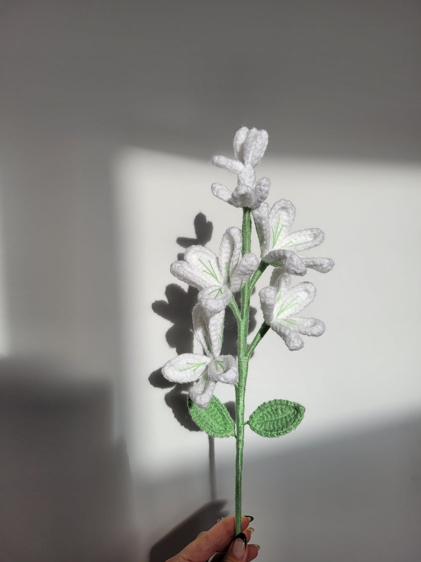 A Branch of Jasmine