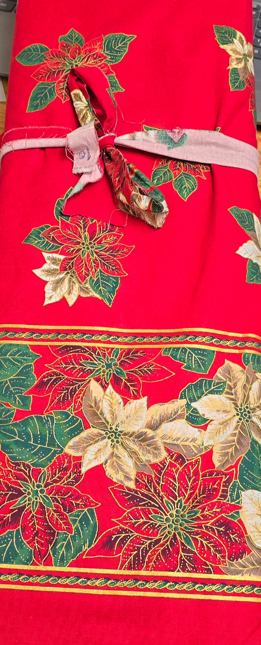Poinsettia 58