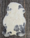 Shorn Grey Spotted Icelandic Sheepskin | Random