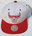 Chicago Bulls Hat