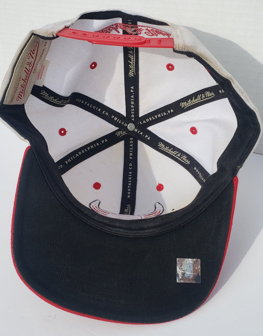 Chicago Bulls Hat