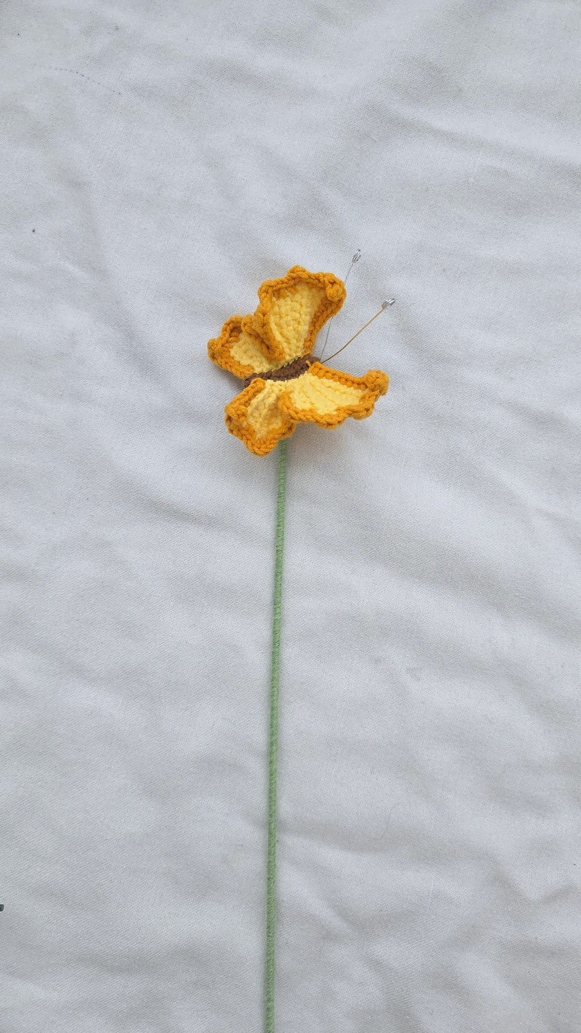 Buggies: Bees, Butterflies, and Dragonflies