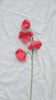 Chihiro's Flowers (Sweet Peas)
