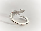 Dinosaur Ring | T-Rex (Size 5/Adjustable)