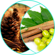 All Natural Healing Skin Butter