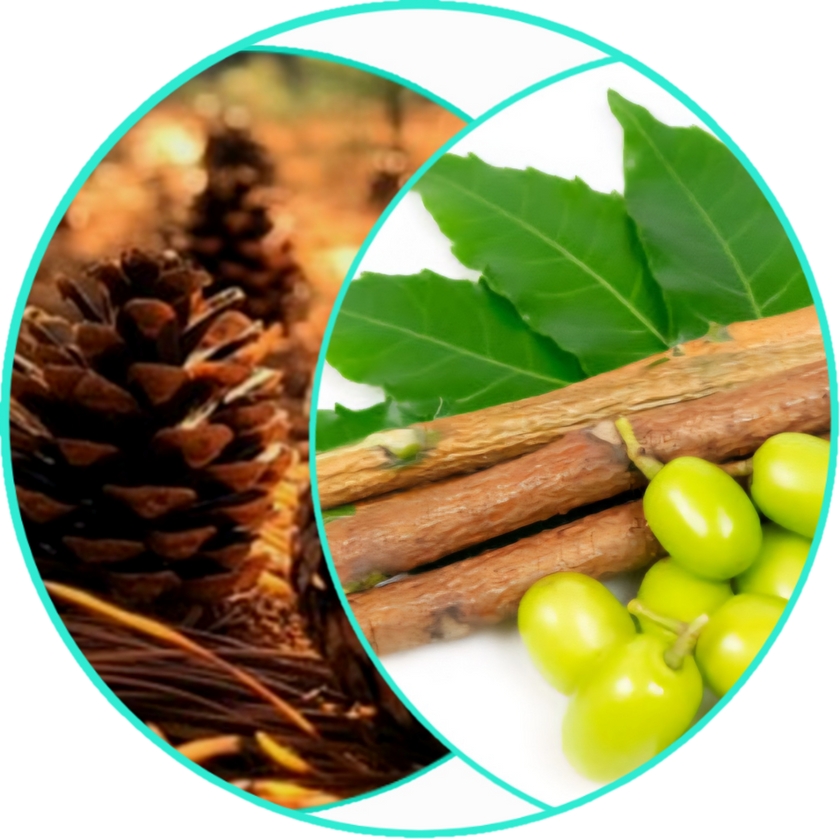 All Natural Healing Skin Butter