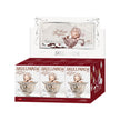 [pre order] SKULLPANDA The Feast Begins Series Scented Candle