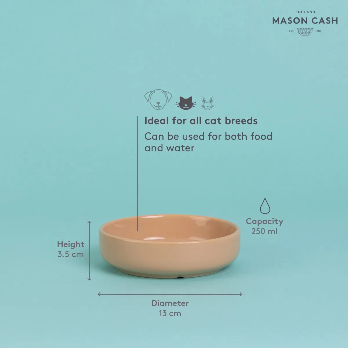 MASON CASH - PET Cat Saucer Cane