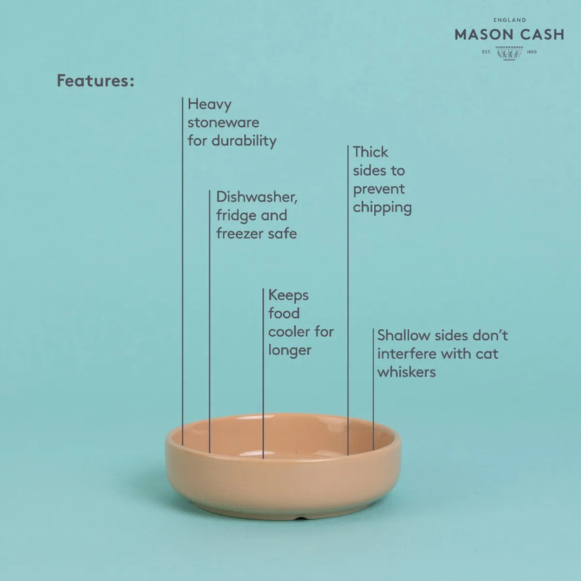 MASON CASH - PET Cat Saucer Cane