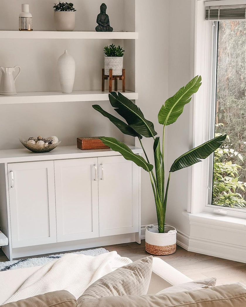 Luca Artificial Bird Of Paradise Potted Plant (Multiple Sizes)