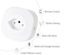 16A WiFi Smart Plug with Voice Control
