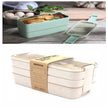Microwave-Safe Multi Layer Lunch Box for Kids