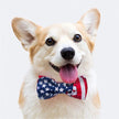 DOGGY HAUTE COUTURE GIFT CARD