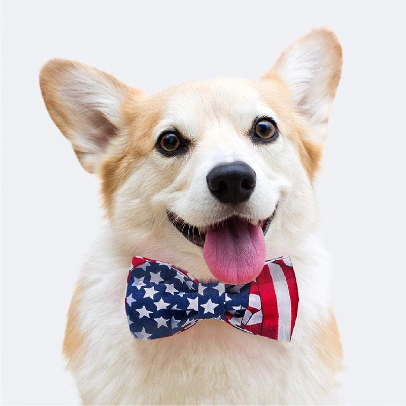 DOGGY HAUTE COUTURE GIFT CARD