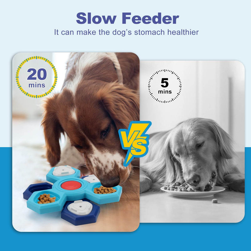 4 Layers Slow Feeder Dog bowl Puzzle feeder toy
