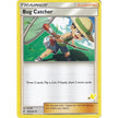 Bug Catcher - 189/236 (#51 Pikachu Stamped) (189/236) (BTA)