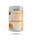 VNDL Project Vital - Endurance, Recovery & Hydration