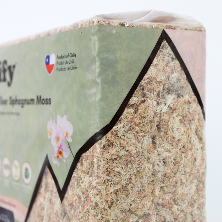 Premium Sphagnum Moss