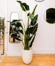 Zapo Artificial Bird Of Paradise Potted Plant (Multiple Sizes)