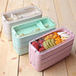 Microwave-Safe Multi Layer Lunch Box for Kids