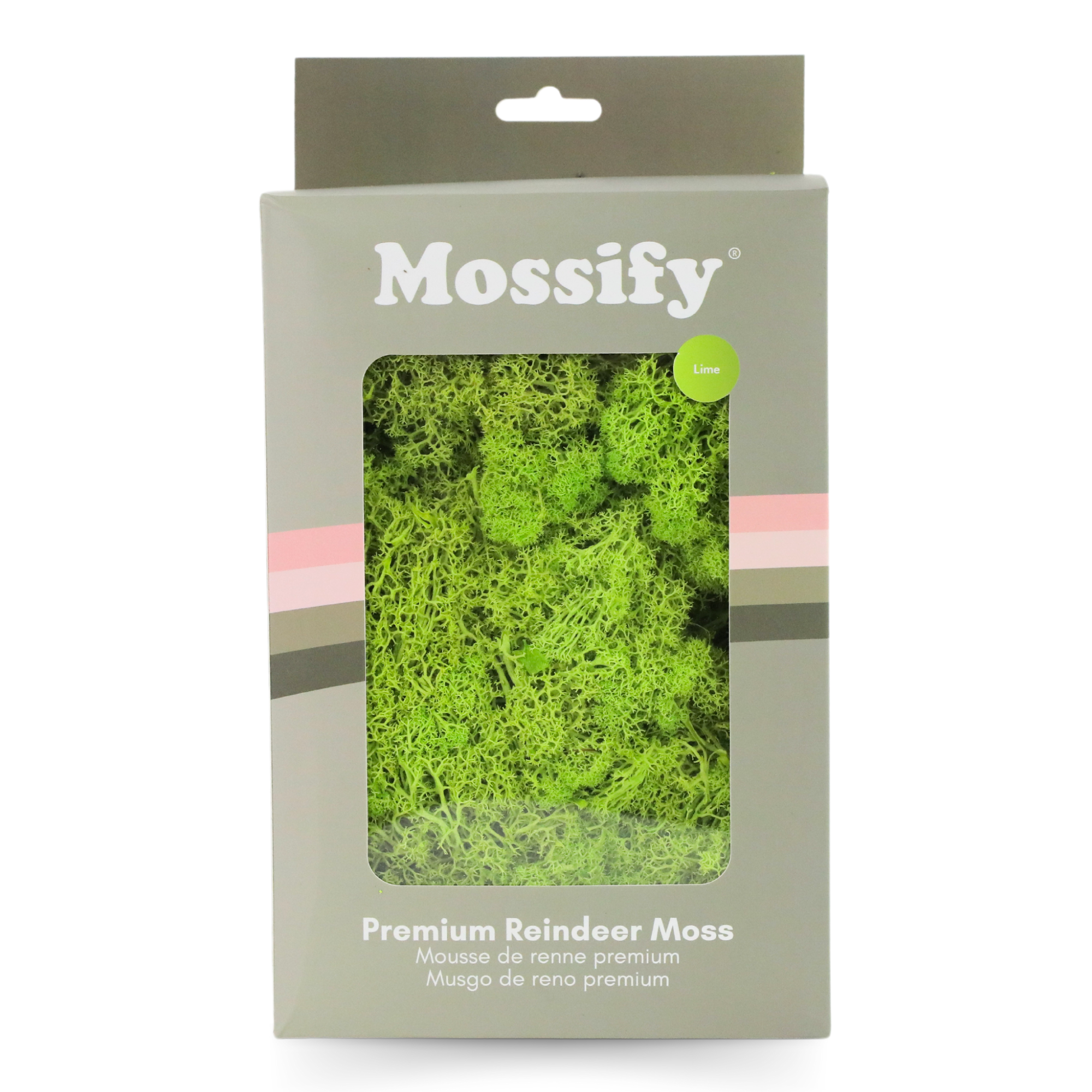Premium Preserved Reindeer Moss