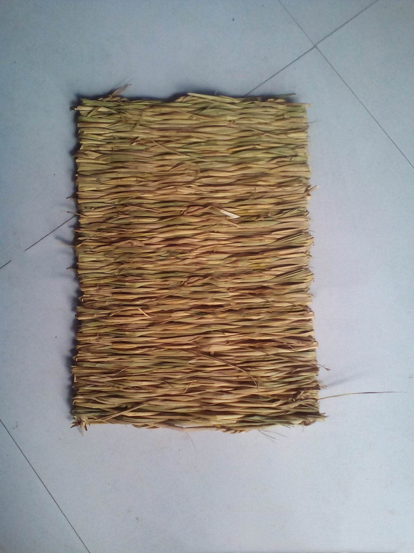 Pet Natural straw mat