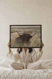 HIGHLAND SPIRIT, Oeuvre sur toile étirée