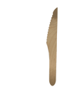 Eco Guardian - Wooden Knives (24pc)