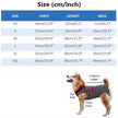 Christian Dogior Sweater – Dog Sweater