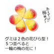 Lotte Koume Ume Plum Gummy (49G) [Best Before Date: 2026.12]