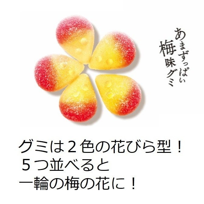 Lotte Koume Ume Plum Gummy (49G) [Best Before Date: 2026.12]