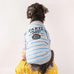 Pawda Stripe Dog Sweater | Cozy Everyday Dog Clothing