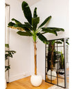 Rolo Round Cement Planter (Multiple Sizes)