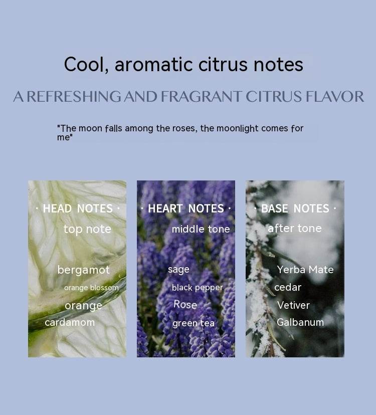 HURY ESCAPE NIGHT BLUE MIST Aromatic Citrus Aromatic Perfume Long-lasting Perfume