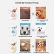 Pet Shower Gel & Shampoo – Breed-Specific Formula for Dogs & Cats | Deodorizing Bath Wash