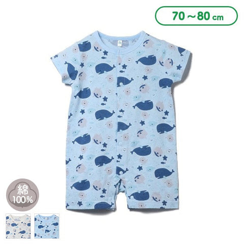 [Produit authentique Nishimatsuya] MD Whale Sow Chroma CA6