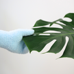 1 Pair Leaf Shining Microfiber Gloves