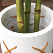Coco Sandy Cement Planter 9''