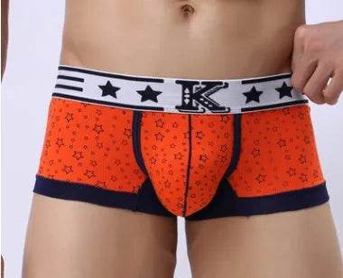 Breathable Cotton Brief Thong underwear panties Men
