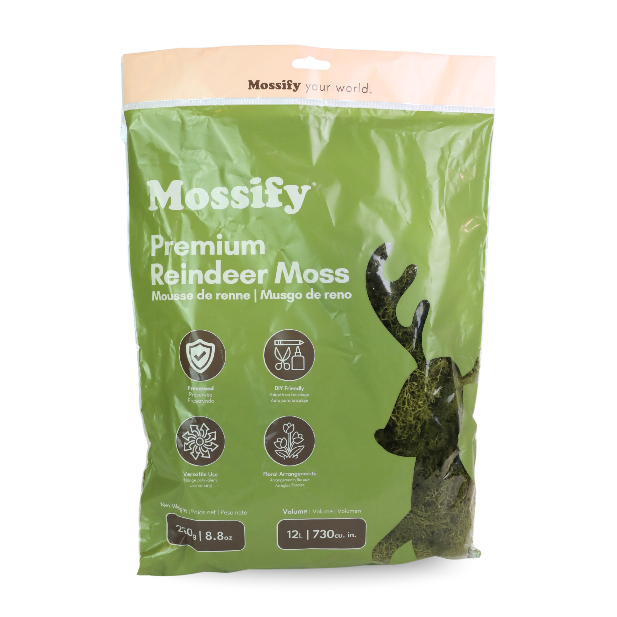 Premium Reindeer Moss Bag