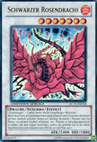 Black Rose Dragon (German) - 